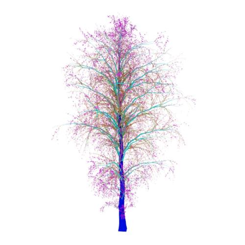 Trees-I