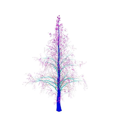 Trees-II
