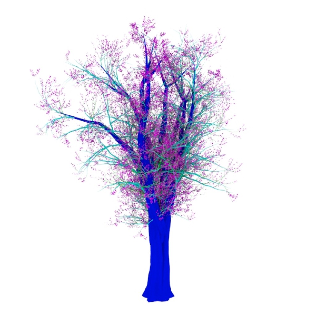 Trees-IV