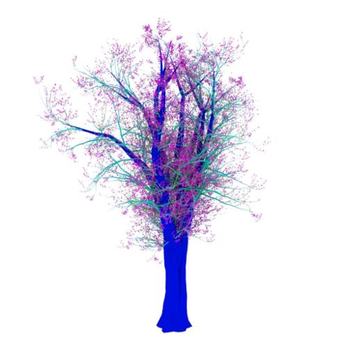 Trees-IV