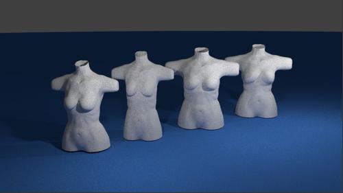 Basic and ready female models