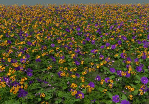 Flowers pack