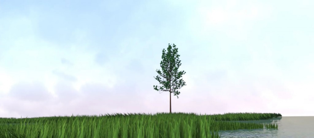 swamp scene