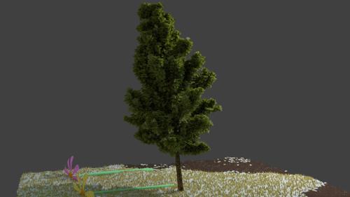 Animated Tree