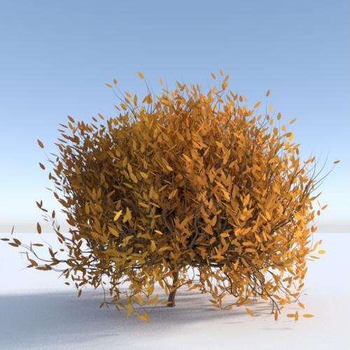 Summer Bushes - i