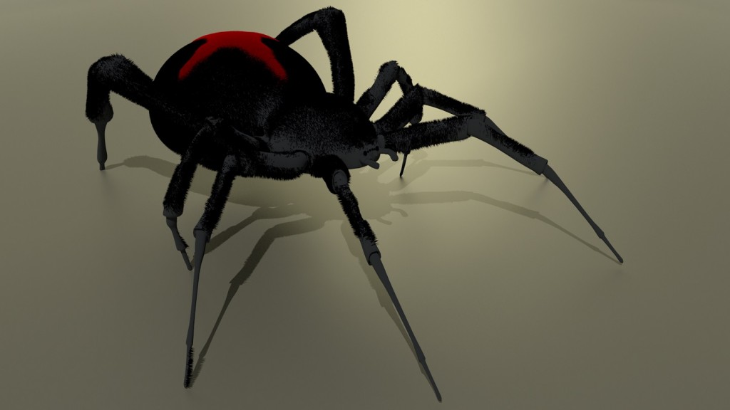 Itsy bitsy spider