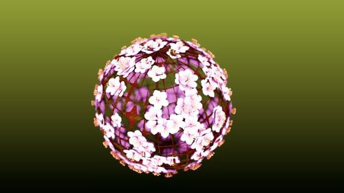 Ume blossom[Particle]