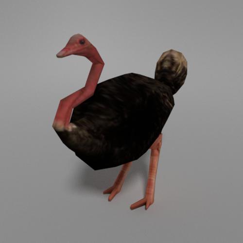 Low Poly Ostrich