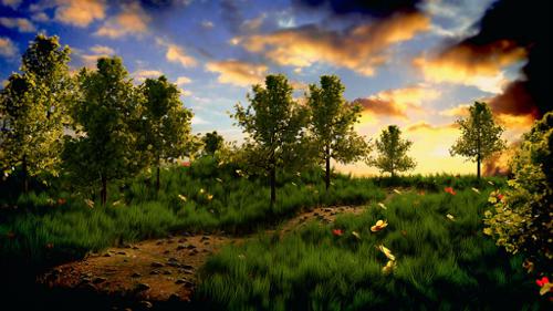 Meadow Scene