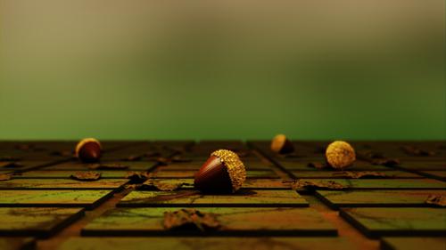 Acorn and fallen leaves