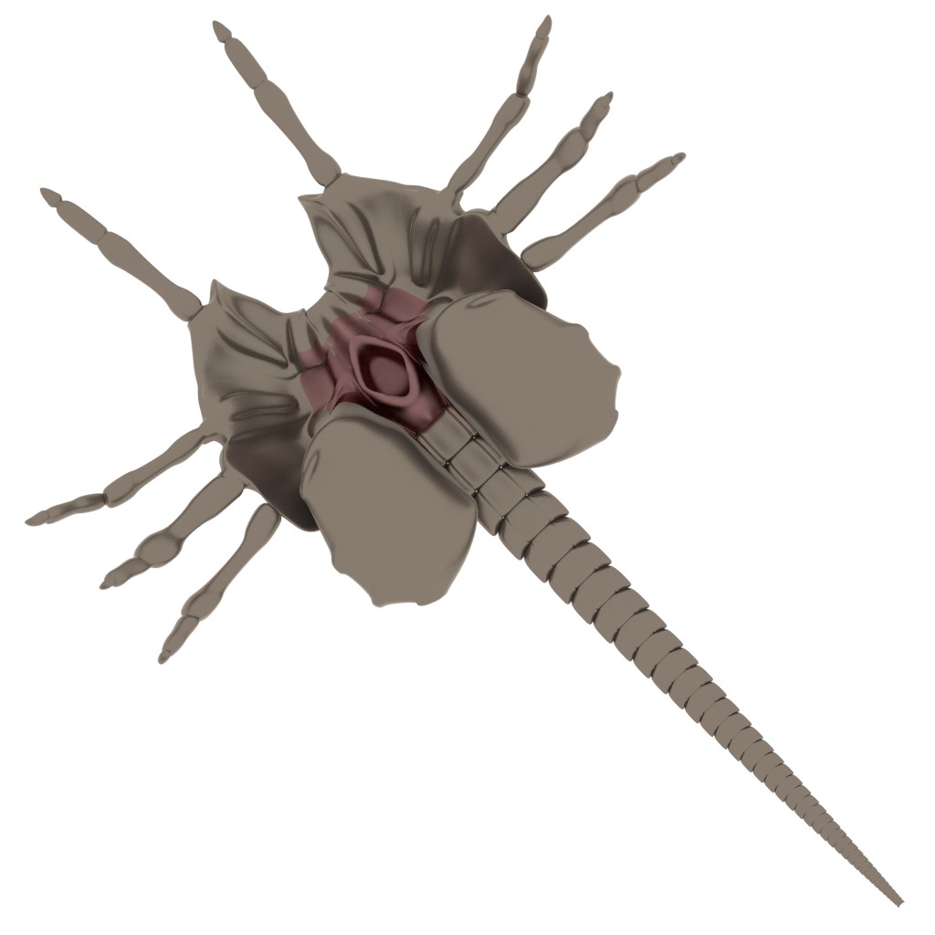 Alien face hugger
