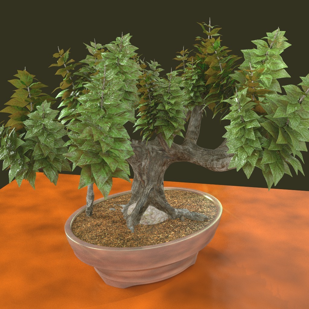 Bonsai
