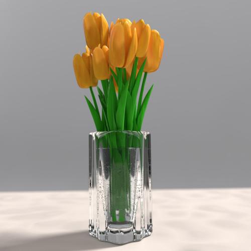 Tulips in vase