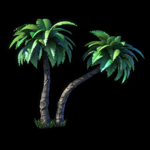 palm Trees