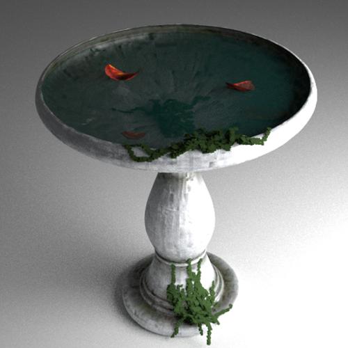 Bird Bath (First Model)