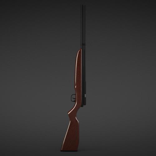 Benjamin Discovery Hunting Rifle