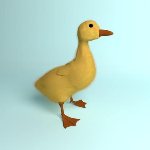 Duckling