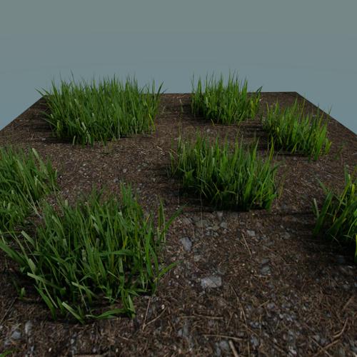 Realistic Grass
