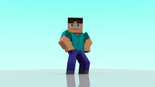 Steve rig V2