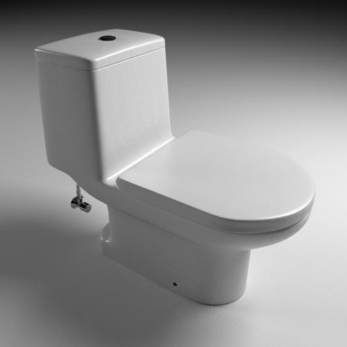 Toto CW867NJ