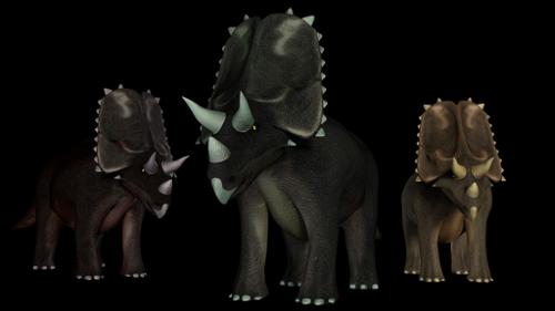 Triceratops