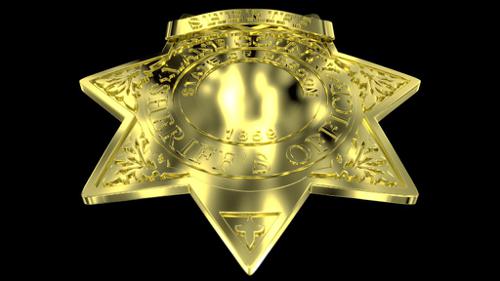 Lane County Sheriff's Office Star