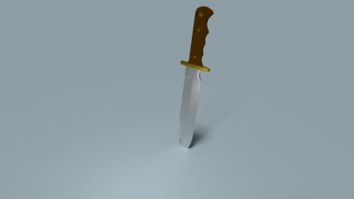 Bowie knife
