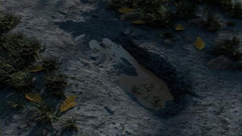 Footprint