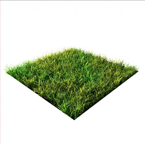 Realistic Cycles Grass Pack