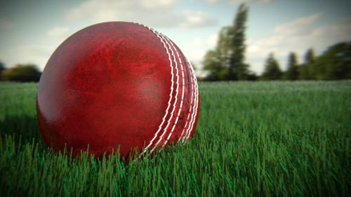 Cricket Ball