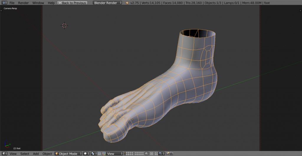foot right human