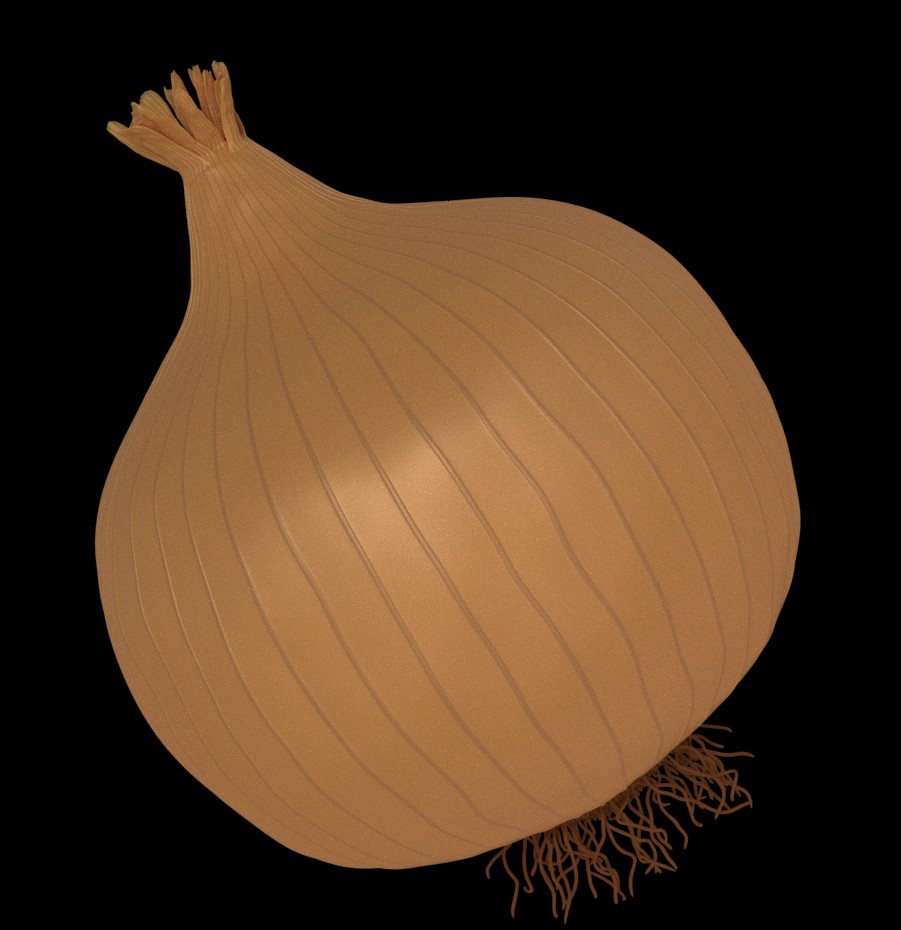 Onion