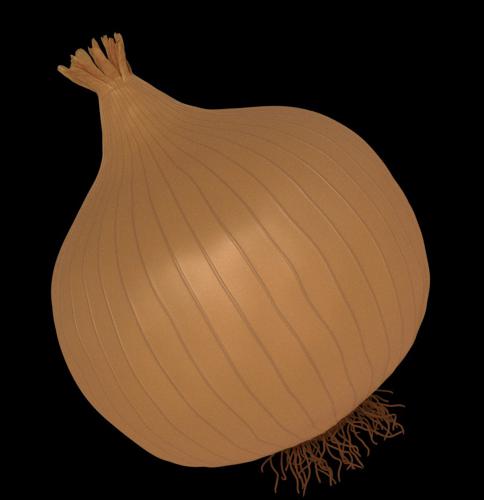 Onion