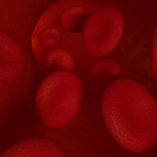 Blood cells plus Procedural Shader