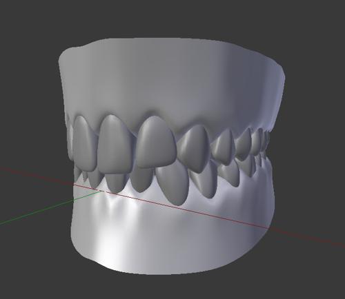 Human Teeth