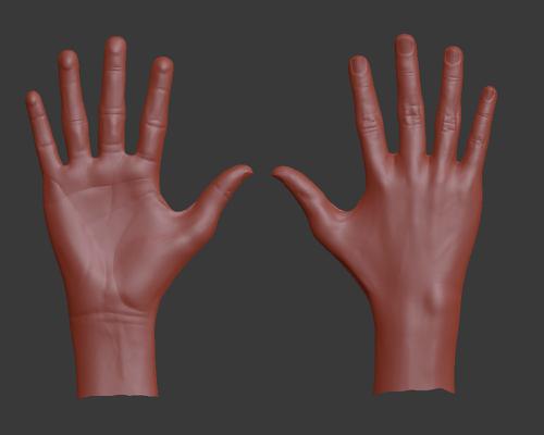 Detailed High-Poly Hand
