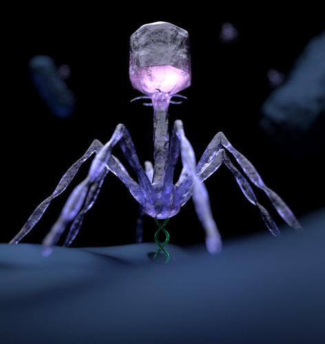 Virus