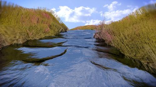 MY RIVER