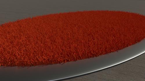 Carpet