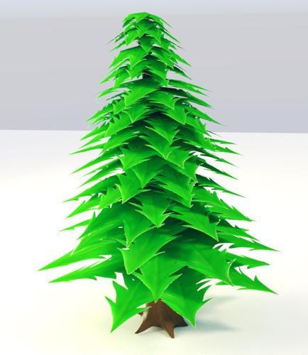 pinus tree