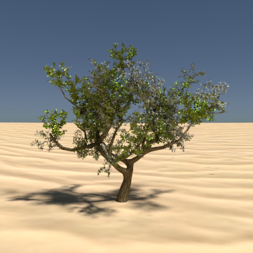Eugenia Tree