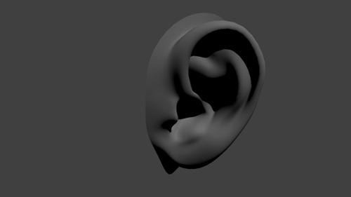 Ear