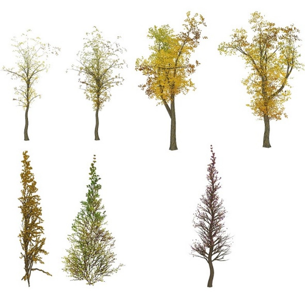 Tree Textures