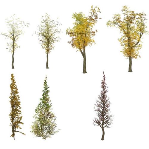 Tree Textures