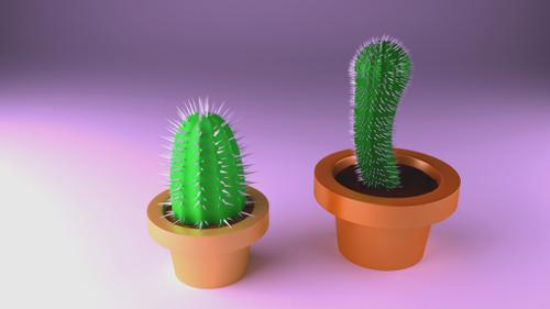 CACTUS