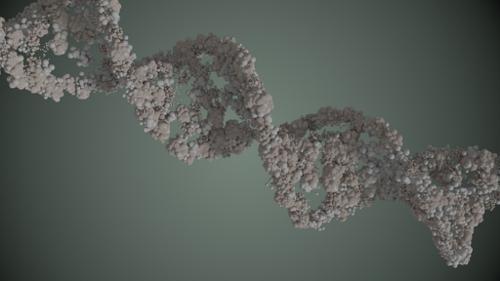 DNA molecule
