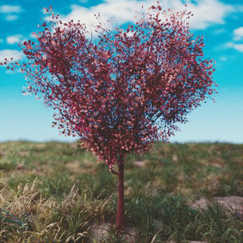 Heart Shaped Tree
