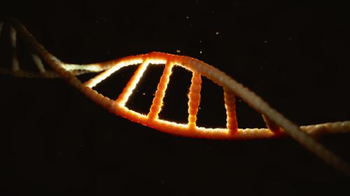 DNA Helix