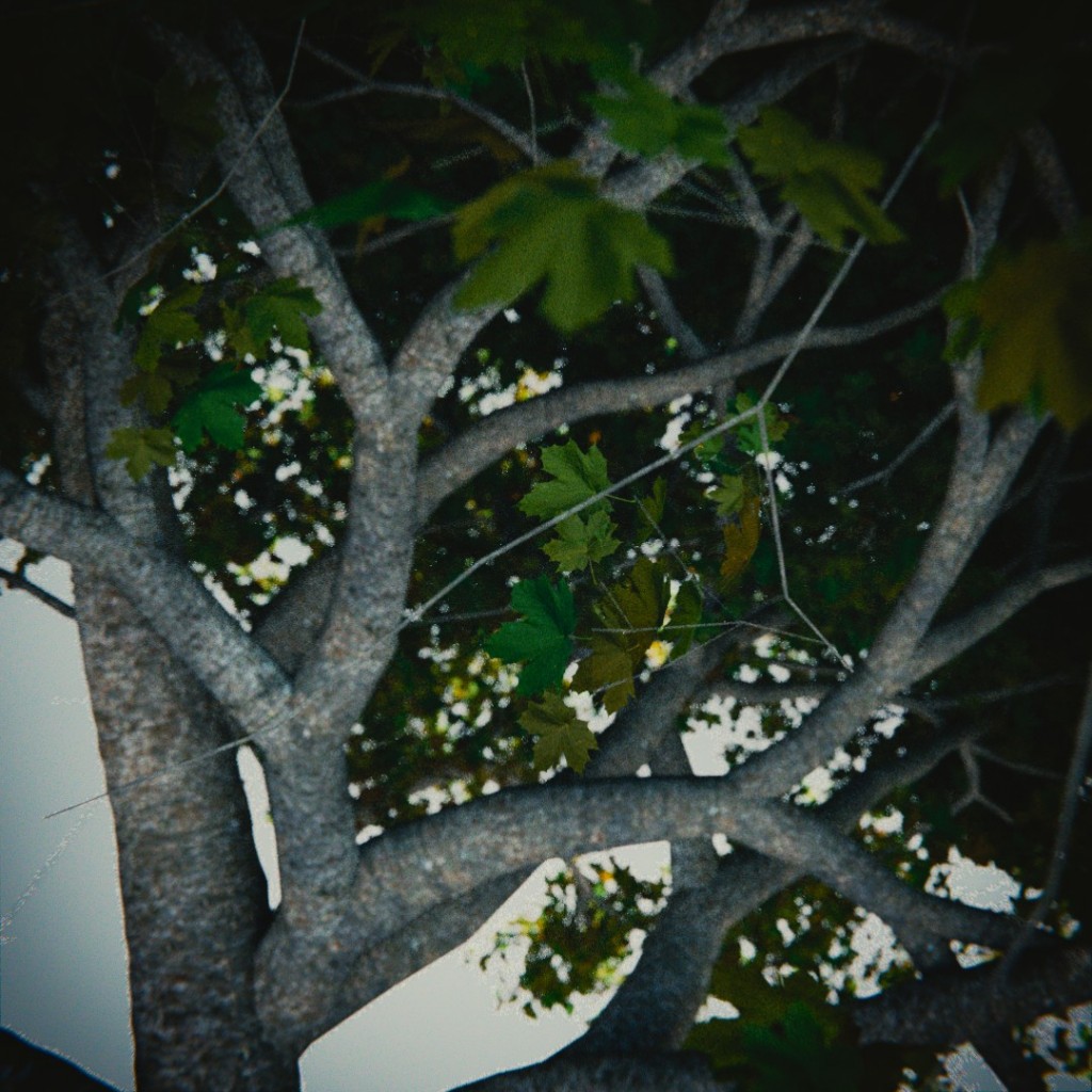 Preview 4