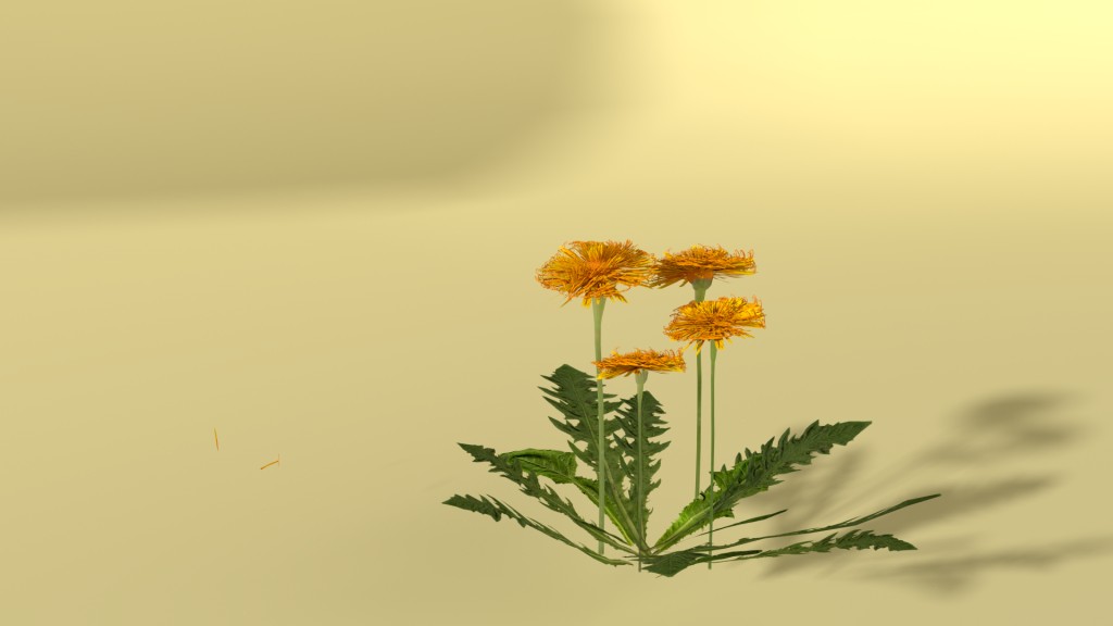 Loewenzahn, Taraxacum offficinale